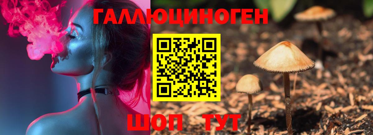 Кизляр  Псилоцибиновые грибы MAGIC MUSHROOMS  Вход с VPN 